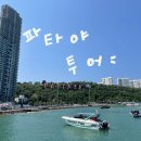 산호 | 태국 파타야 산호섬 일일 투어 내돈내산 후기, 패키지 추천, 준비물