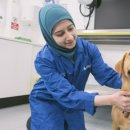 서리축산 이미지