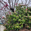 목리남자경로당 이미지