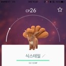 세븐일레븐 속초엑스포 이미지