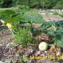 약수농장 이미지