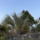 라비스테이 이미지