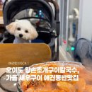 왕손조개구이칼국수 | 오이도 새우구이 왕손조개구이칼국수 애견동반맛집