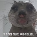 마주친 여름