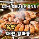 경동타워쇼핑 | [육함] 대전 갈마동 고깃집 회식하기 좋은 육즙 가득 목살맛집 추천, 육함 후기