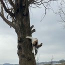 여시물길 이미지