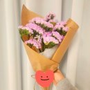 우리소농장2 네이버블로그