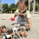 직구신난다