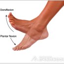 영동헬스클럽 이미지