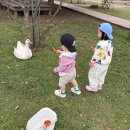 바이크프렌즈 - 성북구 오패산로3길 164 | 제주 새별프렌즈 아이랑 가볼만한곳 애월 체험형 동물원 추천