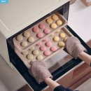 홈베이킹 제과A(야간) | 가정용 베이킹 오븐 고를 때 봐야 할 기준, 위즈웰 인헨스2 스팀오븐 WOP200 사용기