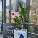 갈매꽃집 이미지