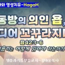 HagaH(82)_욥기 어떻게 읽어야 하는가?(6) _동방의 의인 욥, 드디어 꼬꾸라지다!(욥42:1-6장)_말씀의실재화와 영성치유 이미지