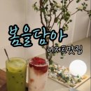 봄을담아 이미지