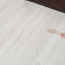 대호동물병원 이미지