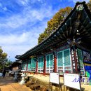 영남사 | 전통건축-1027. 밀양 무봉사 (2024.11.23.)