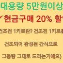 강아지 꼬야 이미지