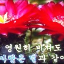 못잊을 사랑 - 조미미 /전광용50년Alto Saxophone알토색소폰연주동영상 이미지