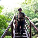 피아골 숲숨집 | 지리산 피아골 코스 산행