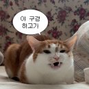 단추 | 단추 키링 , 단추비니 리폼 후기｜동대문 부자재 상가 원버튼 추천