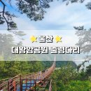 수산중학교 | 8월 울산 가볼 만한 곳 대왕암공원 출렁다리 주차 정보