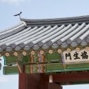 황제의 궁궐에서 나누는 세계의 이야기: 해피쿱투어 경복궁 역사 탐방