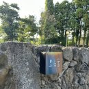 보름식당 | 중문맛집 보름숲 흑돼지 솔직후기