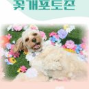 올바른 참견 이미지