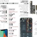 애플크리닝 이미지