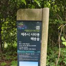 제주 사라봉 일제동굴진지 | 제주 오름 ‘사라봉’ 명품 산책 장소, 제주올레길 18코스 하이라이트 풍경 감상