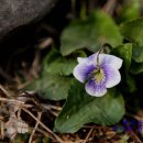 경기도 수원시 장안구 장안로 장안로458번길 이미지