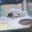 곤충생태관_1 | [대전] 대전에서 반딧불이를 볼 수 있다구?!?! - 대전곤충생태관 후기