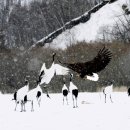 중용의마음 이미지