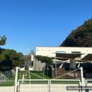 가평 댕댕이 애견 풀빌라 펜션 블루 이미지