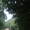 나무사이에 자연속으로 이미지