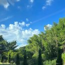 호텔 호피폴라 이미지