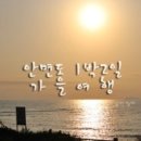하늘섬펜션 | 안면도 펜션] 아늑했던 하늘섬펜션