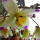 대포초등학교 이미지