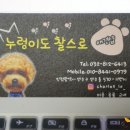 누렁이도 찰스로 이미지