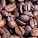 까마로사커피 이미지