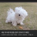 테무깡) 3만원대에 7개 상품