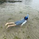 하도방학 이미지