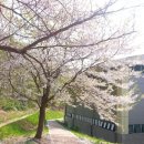 체육공원약수터 이미지