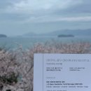 포항국제영화음악제 | 2026 통영국제음악제 - 조성진 피아노 리사이틀 (2026.03.30. 통영 국제음악당)