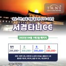 타니스테이 이미지