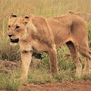 소설로 배우는 영어 이미지