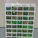 중부대학교 일반대학원 이미지