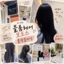 흥덕2로 65번길7L | [경기/용인시] 프라이빗 1인 미용실 영덕동 블룸(bloom)헤어 | 모도스 물광클리닉 후기
