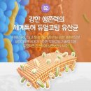 데일리얌얌 이미지