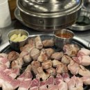 문치비